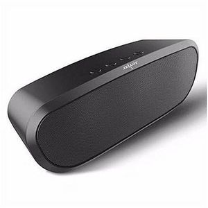 Zealot S9 Wireless Bluetooth Speaker